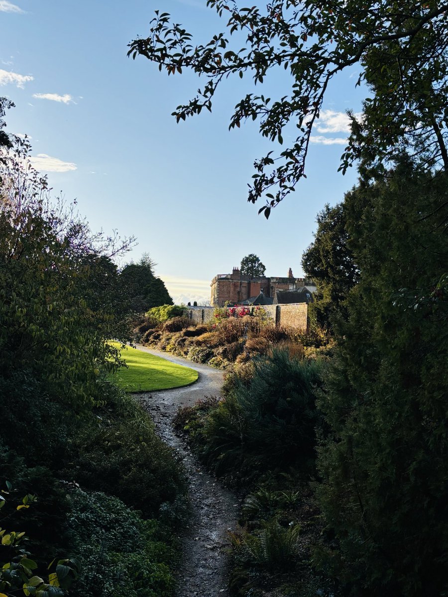 pat havers tweet media