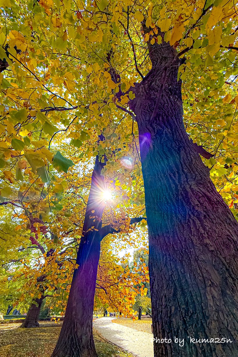 ZカズミRS (@Z1kS8n) / Posts / X