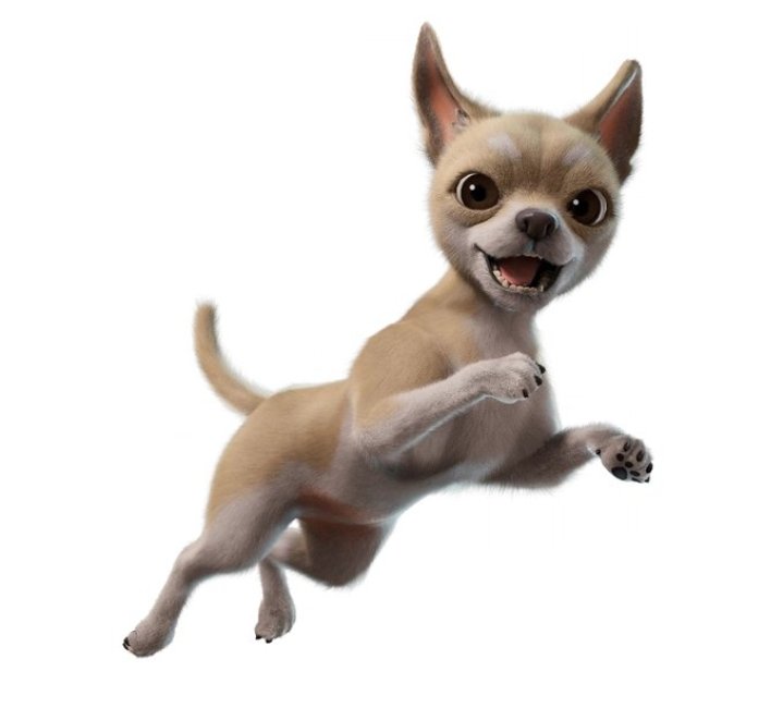 THE Companion tweet media