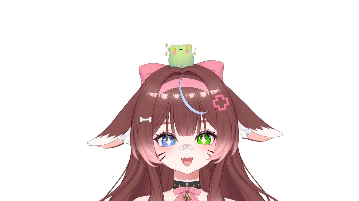 Feli 🐙🐾 tweet media