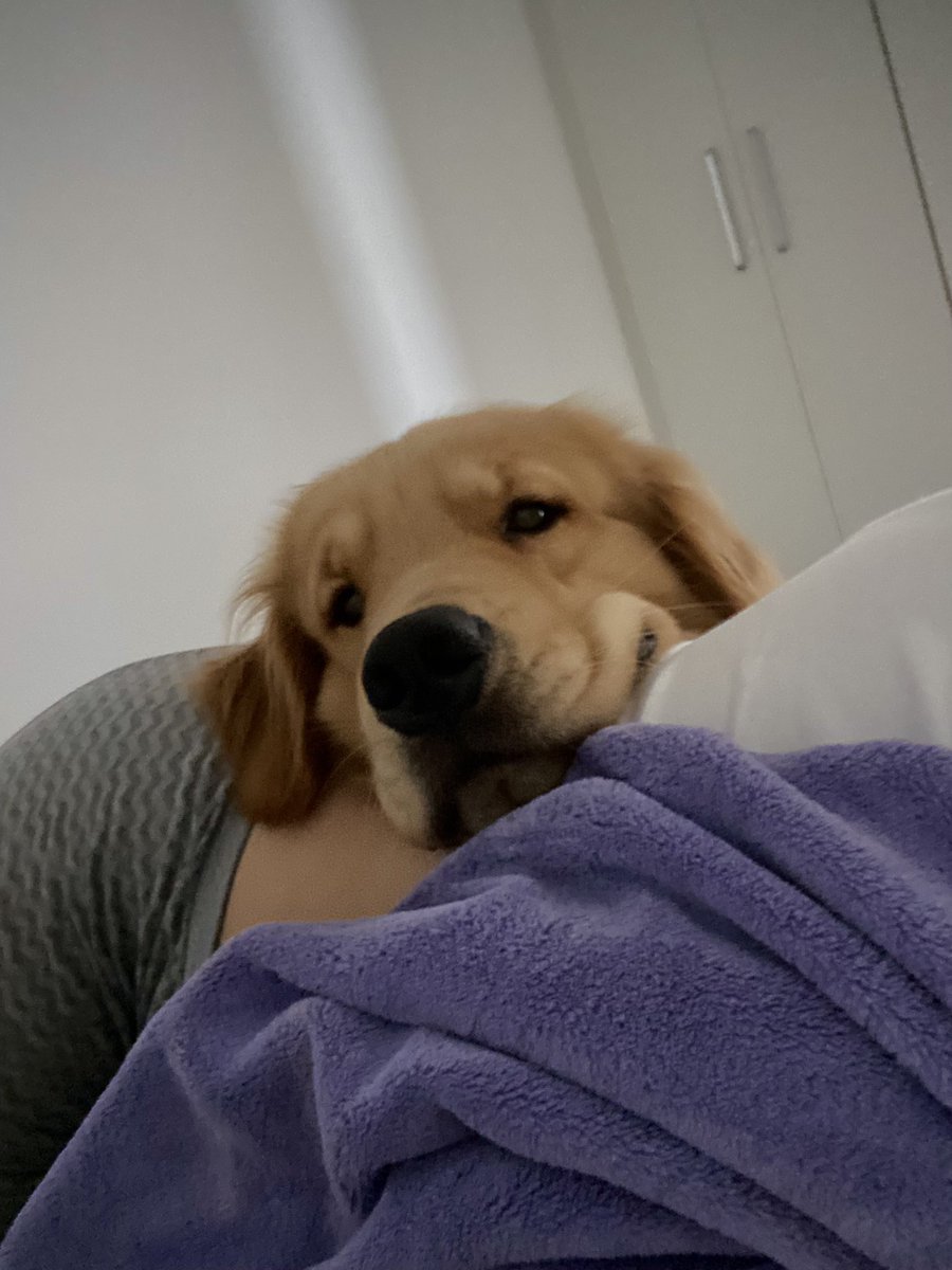 gikaaf_'s tweet photo. como a minha manhã começa: caras e bocas do bentinho https://t.co/Csy44DDslx