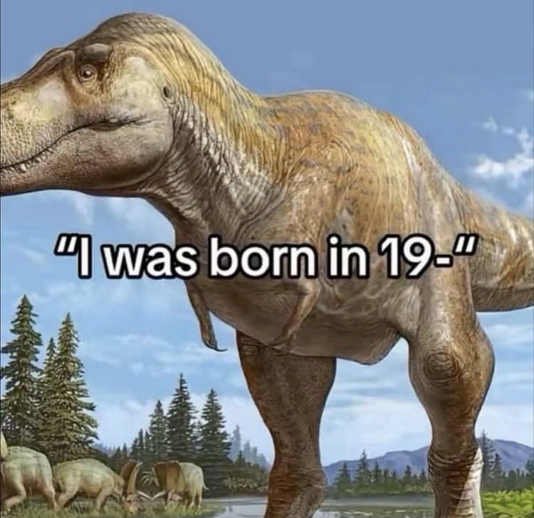 MusingZone's tweet image. Yep, that’s the feeling.