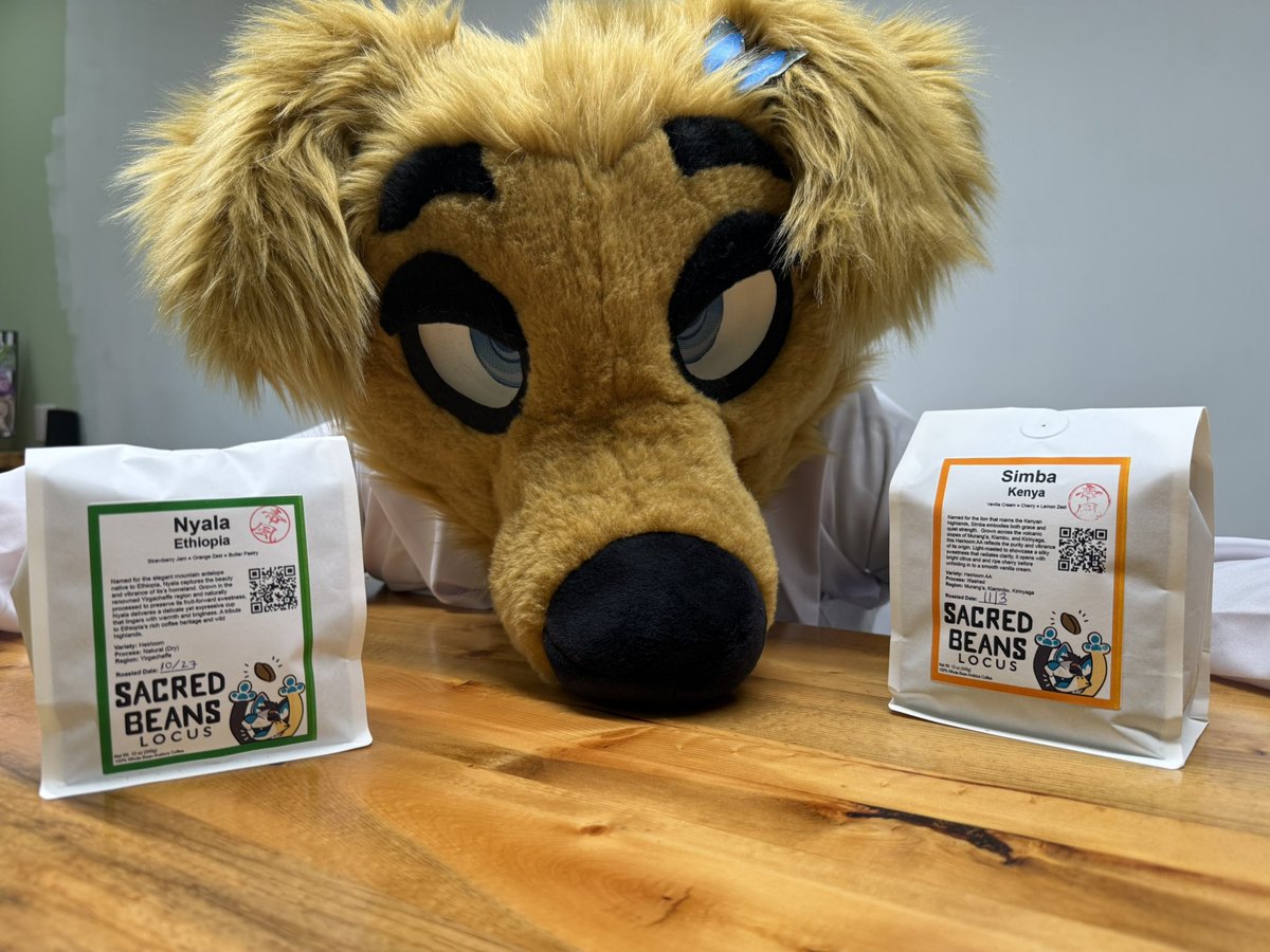 Sacred_Beans_Co's tweet image. 🧪 From the Coffee Lab…

Two new experiments have escaped containment! — meet Simba 🦁 and Nyala 🦌.

Both roasted to highlight sweetness, balance, and the vibrant expression of origin.

Now available online + at the café:
sacredbeans.coffee ☕️

🪡:@SourCitrusSuits