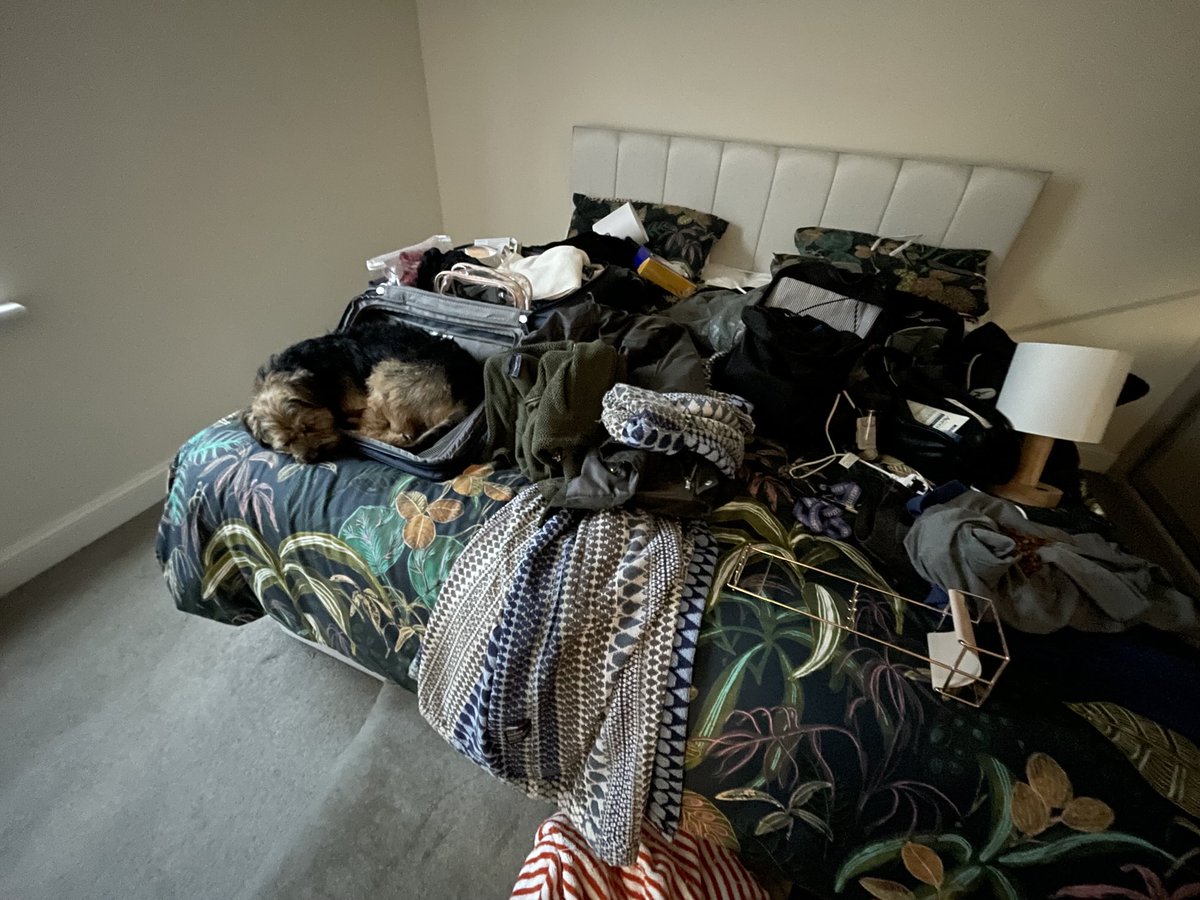 HomesChristineH's tweet image. A year ago today, we moved house. #BTPosse #Benedict ⁦@revdlouisjj⁩