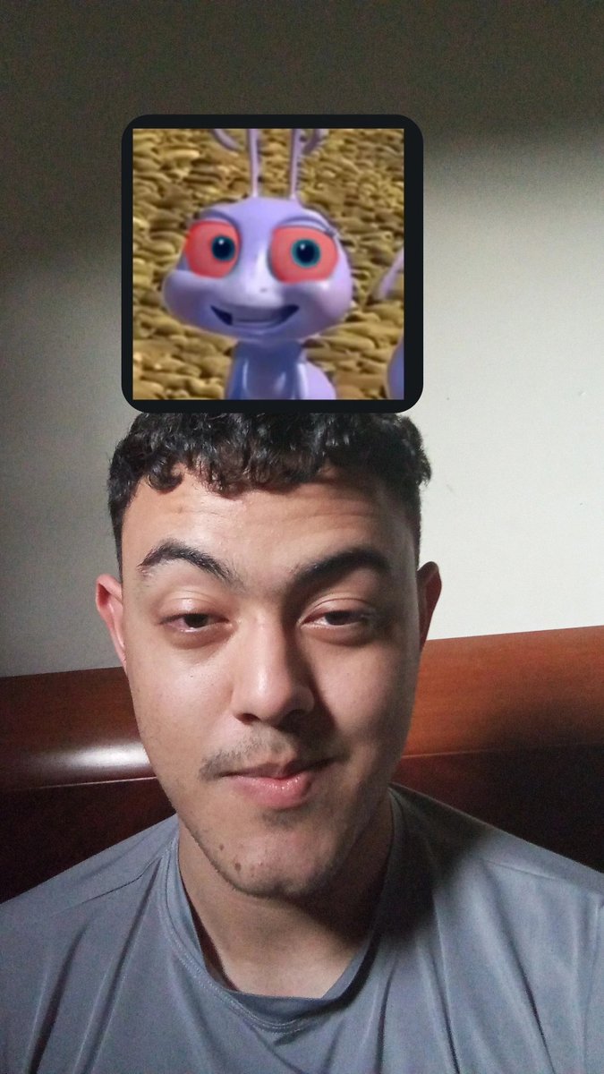 almaflutuando's tweet photo. Meus amigos me falaram que eu pareço essa formiga chapado :/ https://t.co/aesgrUt64Z
