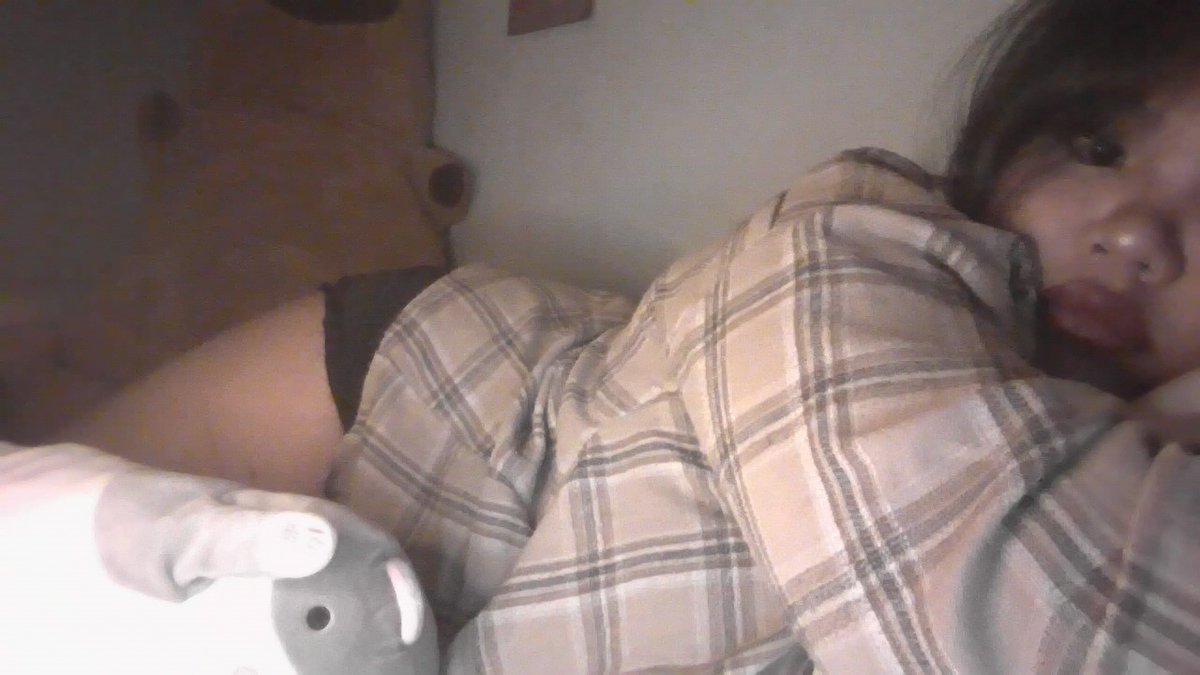 avelineee tweet media