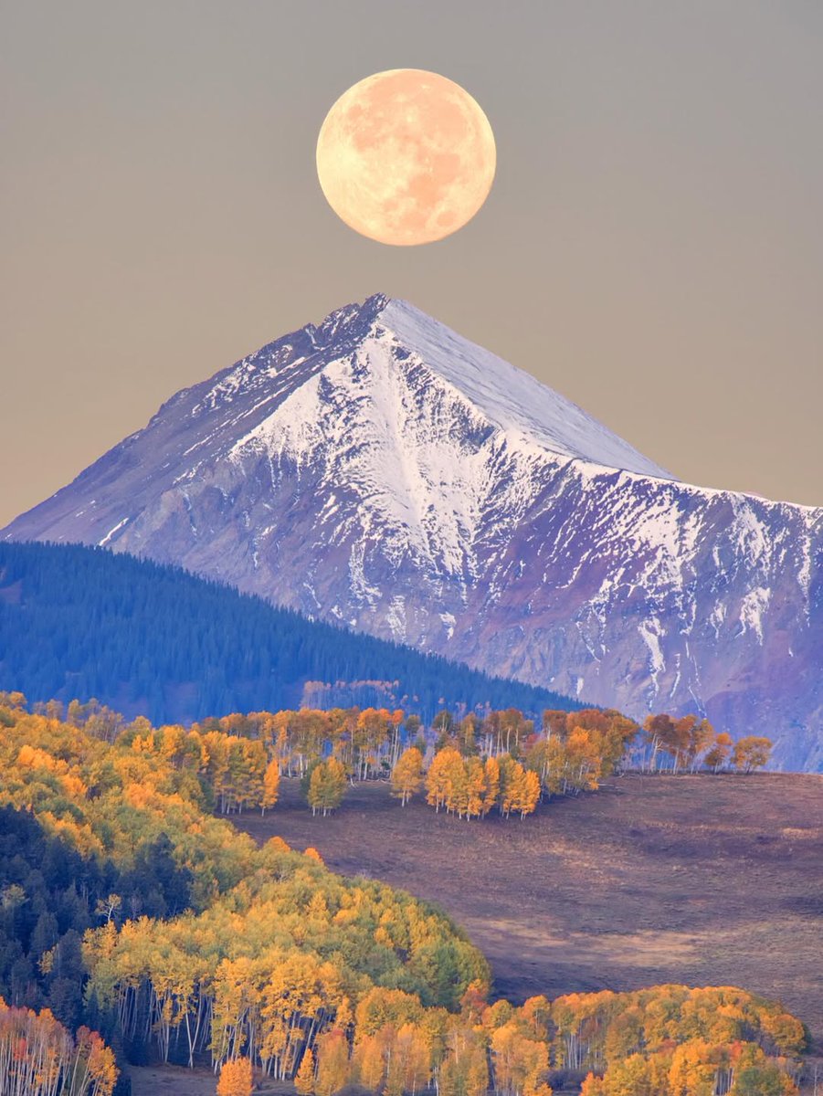jacolek1981's tweet photo. Good evening 🌕🗻 https://t.co/ZAAHU4ngRD