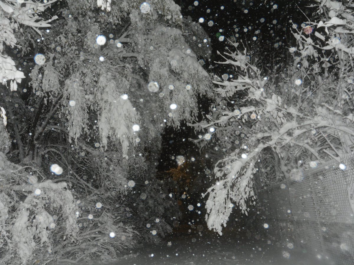 faddurr's tweet photo. Midnight in Montreal #unedited #neige #blizzard #mtl #edwardsnowdon https://t.co/9f67TycsGp