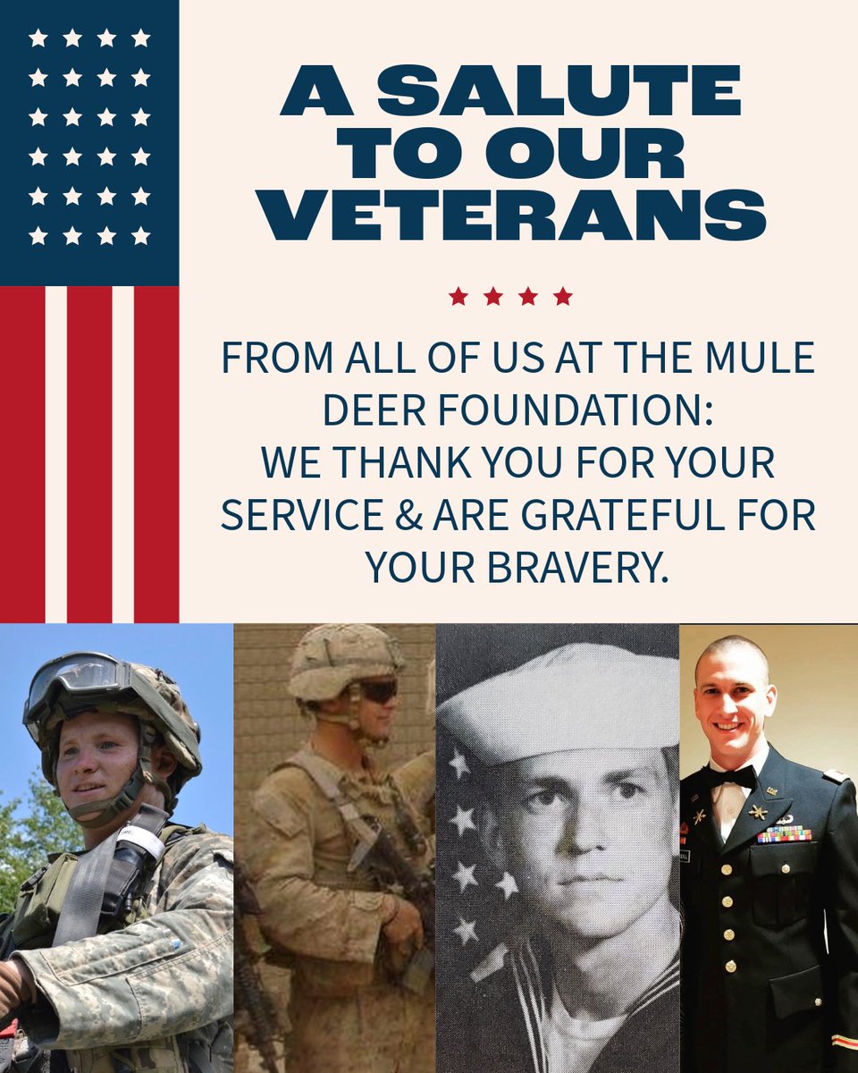 🇺🇸 To our vets here at MDF and all those who've served this great country, thank you for your service and sacrifice. Happy Veteran's Day. #veteransday