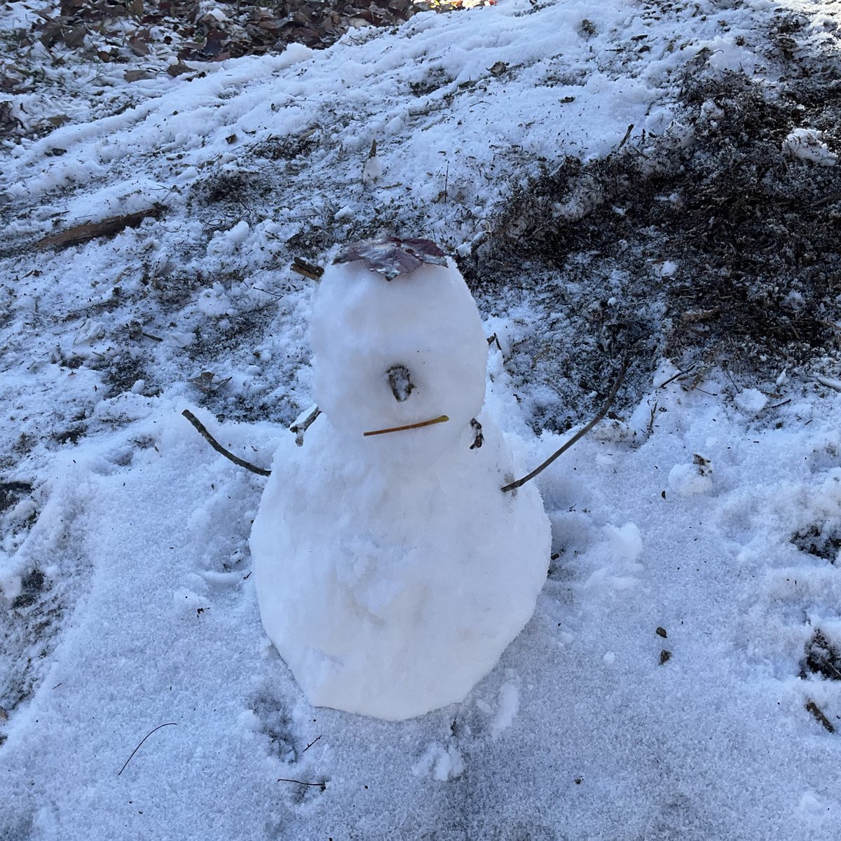 Roxy (Parody) tweet media