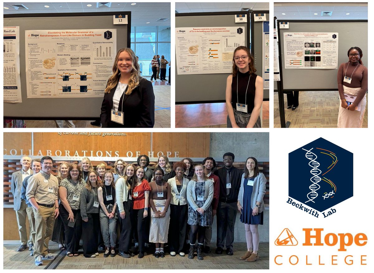 Sean Beckwith tweet media