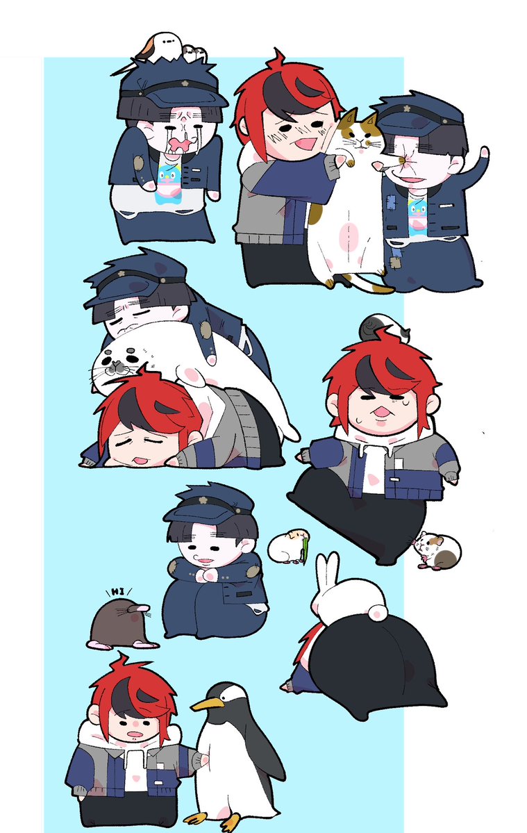 犬猫類 (@inuneko35) on Twitter photo 