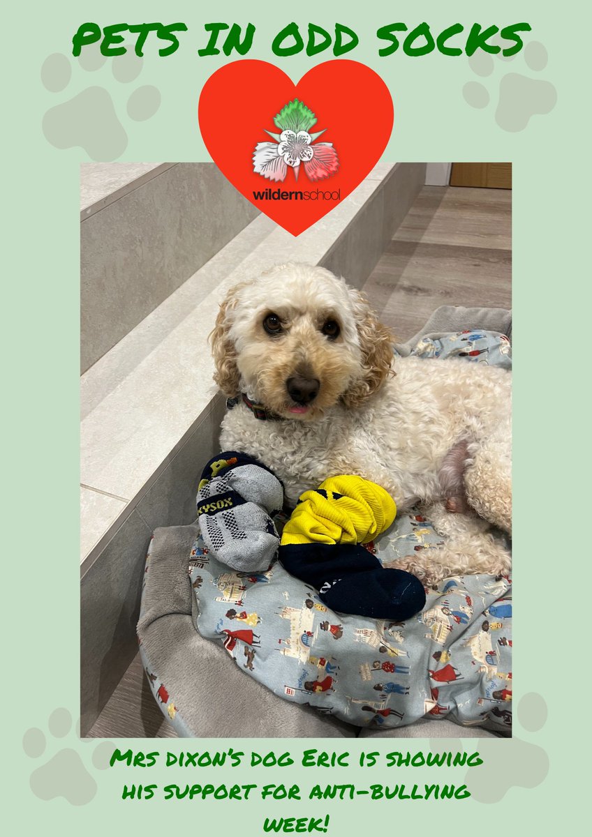 wildernschool's tweet photo. It's great to see some of the staff getting involved too!
#PetsinOddSocks #AntiBullyingWeek #OddSocksDay
@andyoddsock @ABAonline https://t.co/l2t1g8Imvl