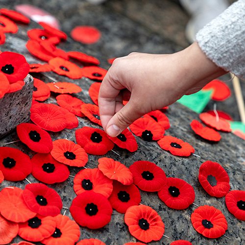 🇨🇦 Today we remember those who gave their lives so we can live freely, in peace, and share Canada’s beauty with the world.

The red poppy reminds us of their sacrifice — a symbol of hope, gratitude, and freedom.

We remember. We are grateful.

#LestWeForget #RemembranceDay