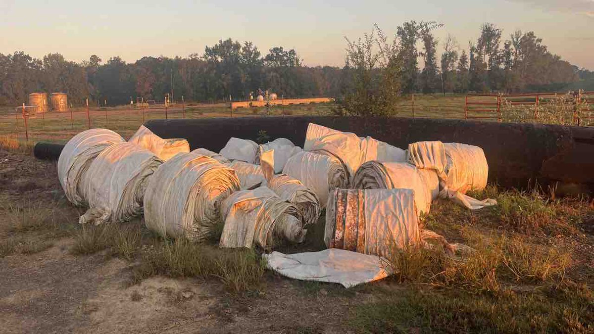 Delta Plastics tweet media