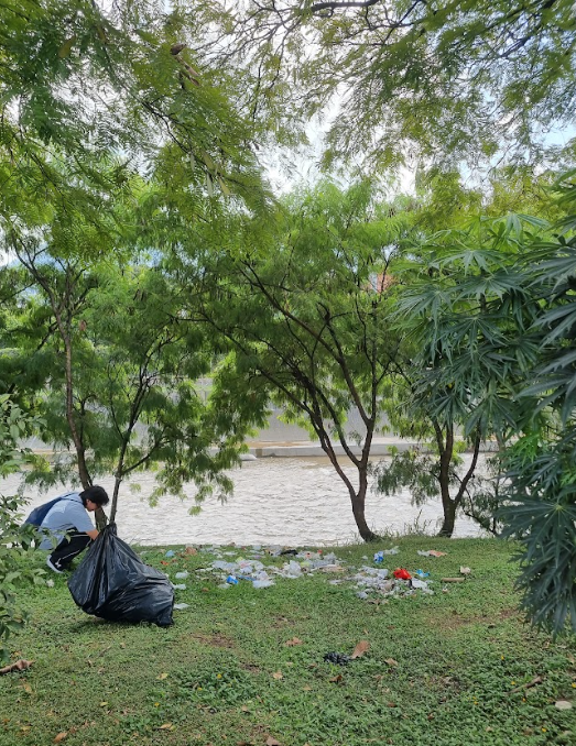 ReFi Medellín (🌳, 🌱) tweet media