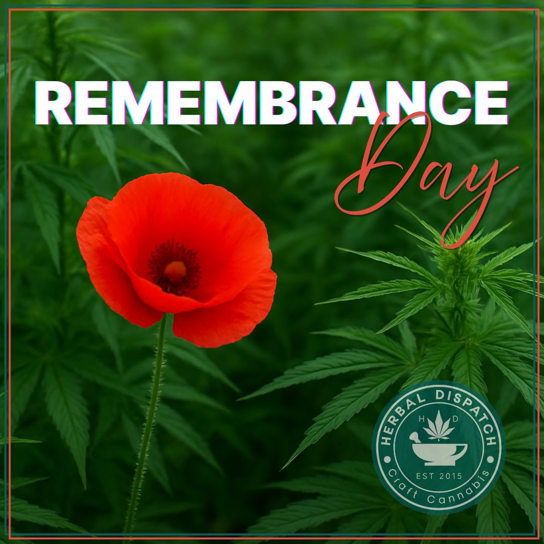 Today, we honor the sacrifices of those who served. 🌺 Lest we forget their courage and dedication.