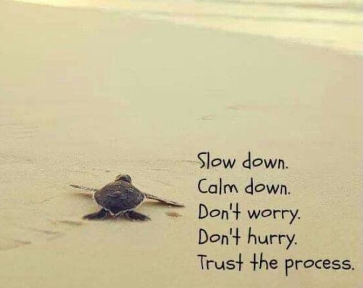 POSITIVITY (@positivitysaid) on Twitter photo 
