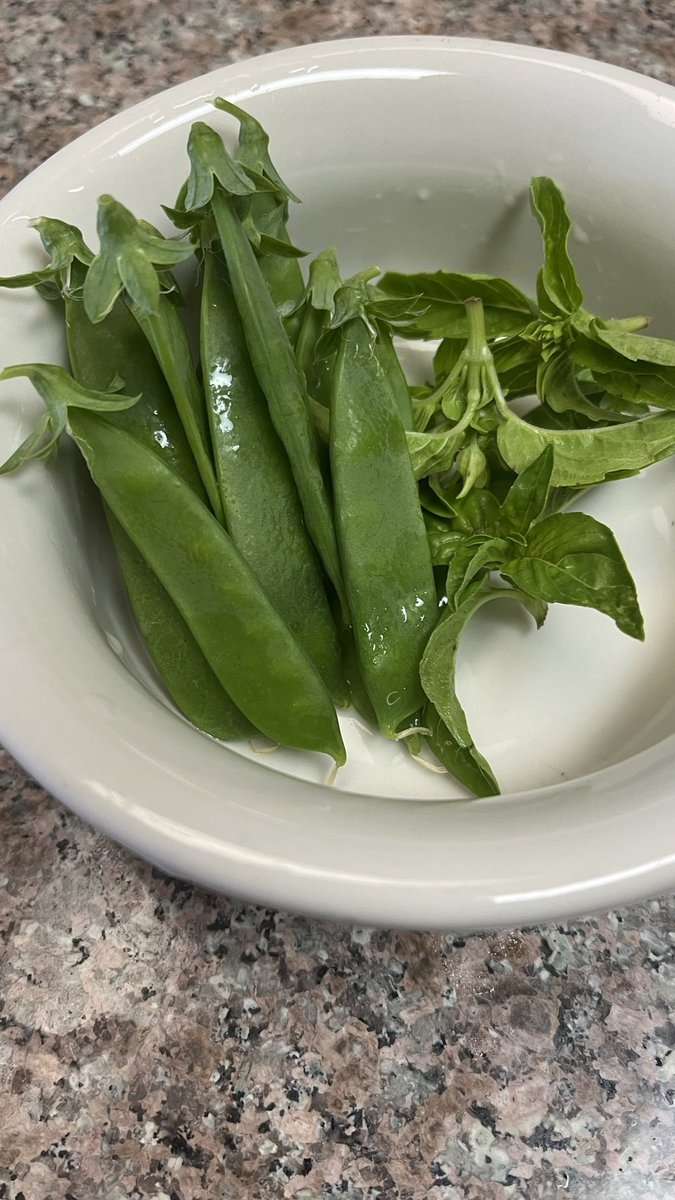 Sunni Hepburn tweet media