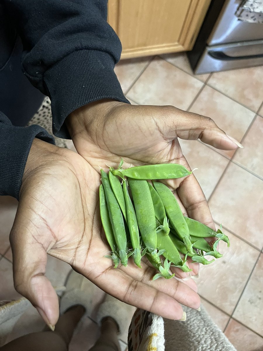 Sunni Hepburn tweet media