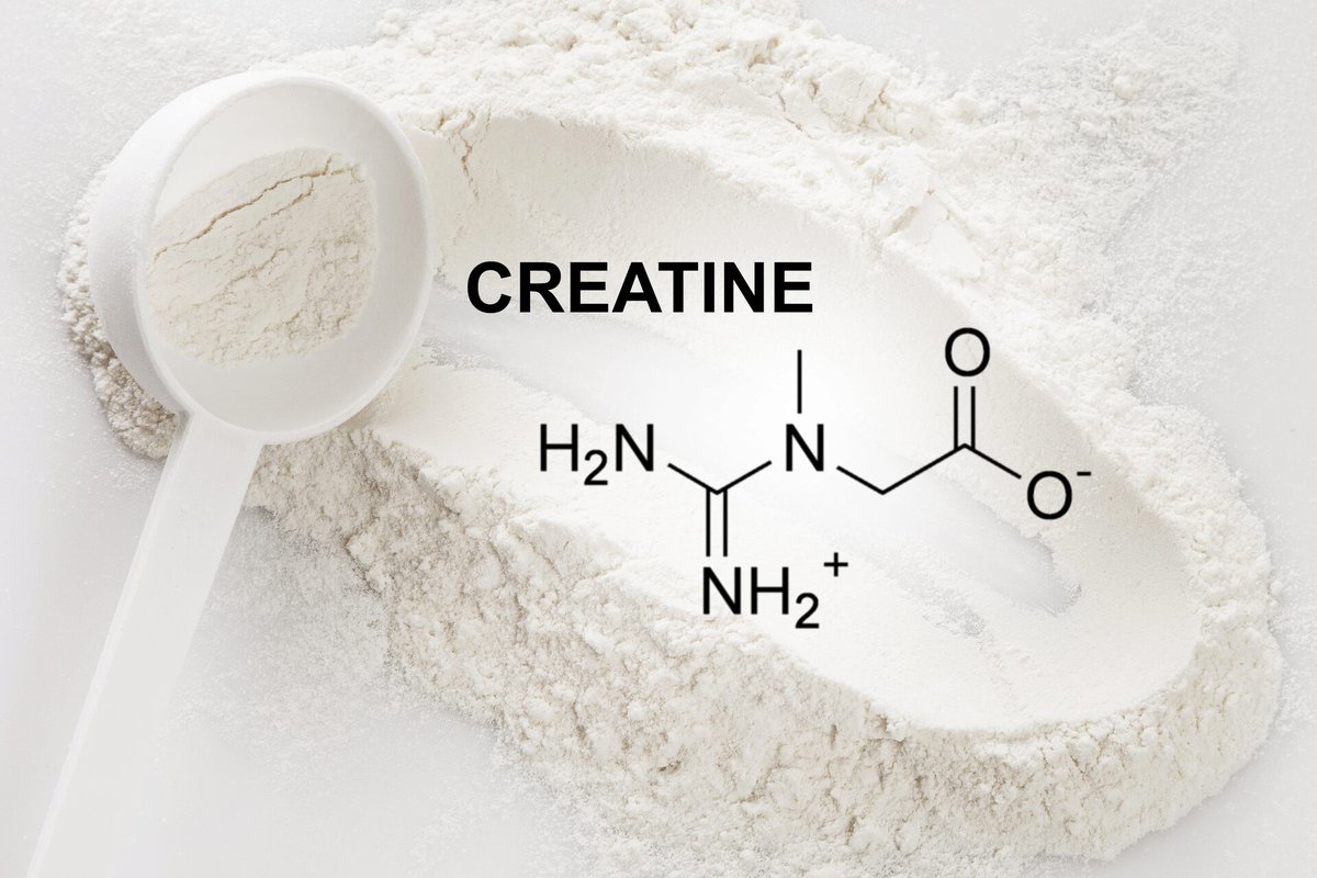 JackedSansJuice's tweet image. Muscle doesn&apos;t build itself out of wishful thinking. It&apos;s forged by sweat, iron, and science. Creatine is that secret weapon that turns intensity into dominance.

If you want huge gains, you need creatine- no debate, no excuses! 💣🧪💪#SavageFuel #BeastMode #IronAddict
