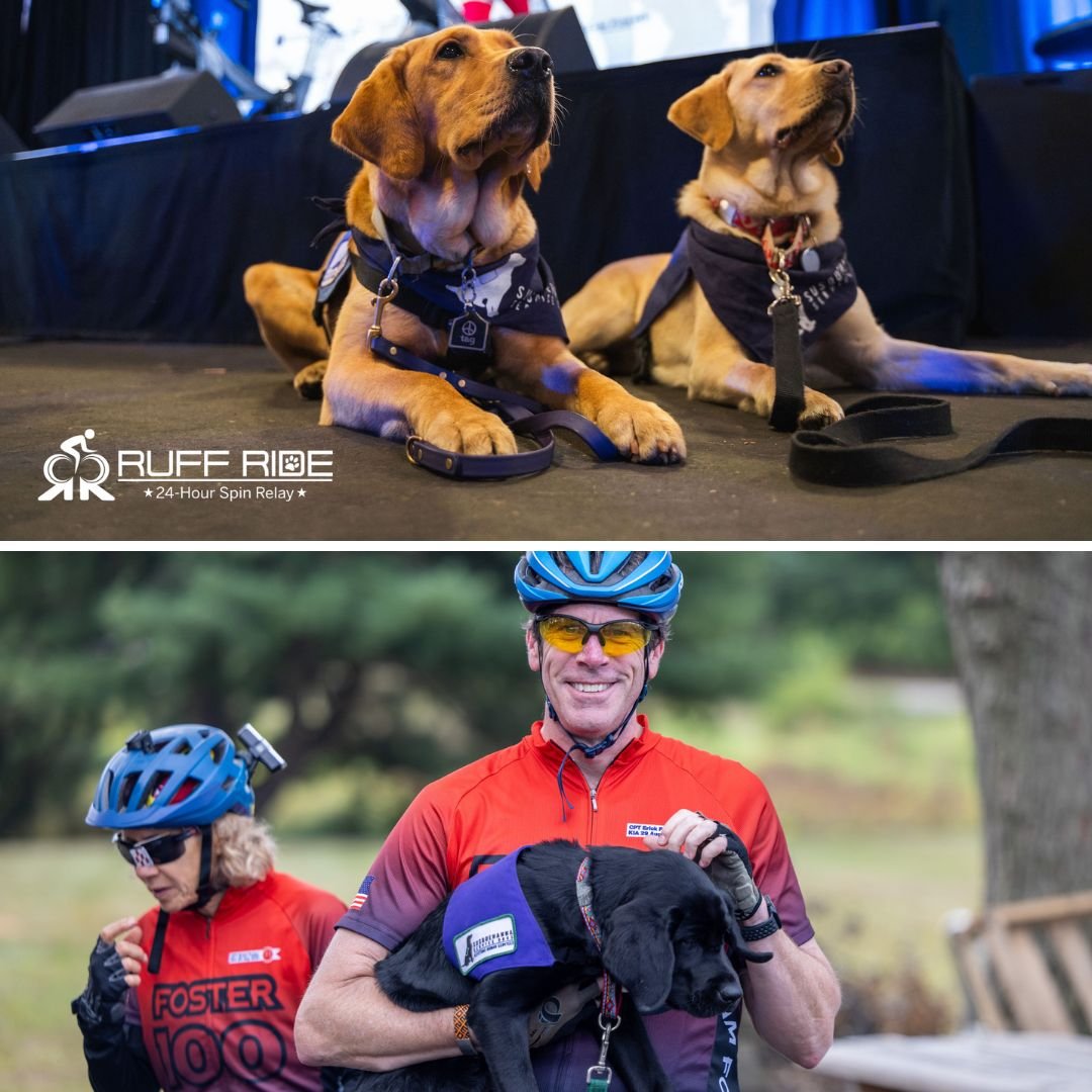 tvliftcabinet's tweet photo. Day 2 of our #VeteransDay campaign 🇺🇸🐾 We’re donating 10% of all sales to @TeamFosterOrg to fund service dogs for injured Veterans.
🛍️ Save 10% on $150+ orders w/ code TEAMFOSTER10 📅 Ends Nov 11 🔗 https://t.co/z2XMwEs7LN
#TeamFoster #ShopForACause #SupportVeterans #ServiceDogsSaveLives #GivingBack #MilitarySupport