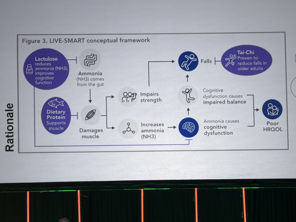 Pierre Gholam tweet media