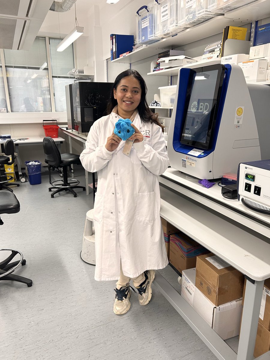 Chandni_Stratech tweet media