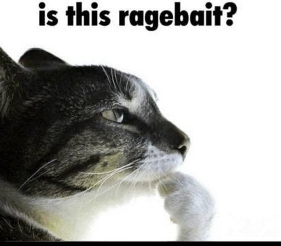 Mesh_threads's tweet image. 