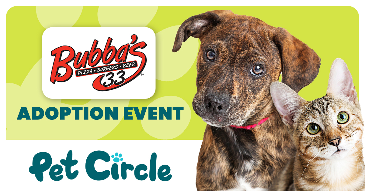 🐕 Dogs &amp; Dinner 🍽️ Tonight at Bubba's 33! 🎉

Join us for an adoption event at Bubba's 33 tonight from 6 - 9 p.m.
Enjoy a relaxed evening on the patio, while spending time with awesome shelter dogs! Adoptions are only $24!

#wacotexas #petcirclewaco #offthecircle #adoptdontshop