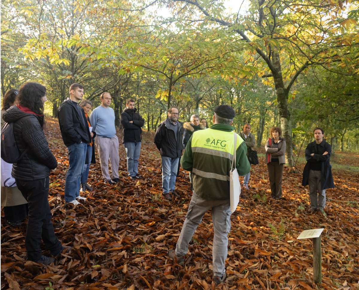 LEBarbanza's tweet image. Este sábado pasado coñecimos dúas experiencias inspiradoras de xestión forestal: o Monte Demostrativo do Pico Sacro, en Boqueixón, e a Comunidade de Montes do Carballo, en Friol. 🌳

#ProyectosPRTR #PlanDeRecuperación #NextGenerationEU @FBiodiversidad