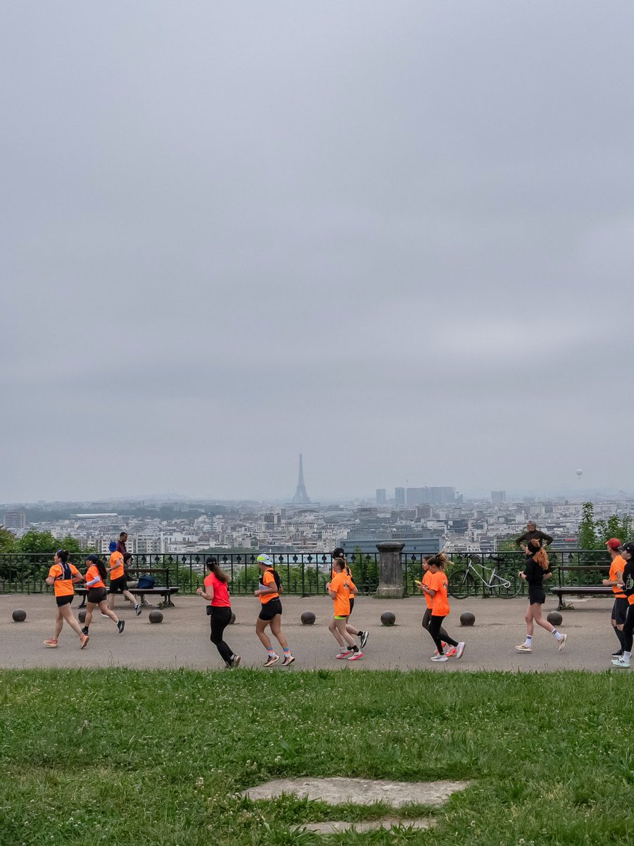 En mai dernier, plus de 500 coureurs ont participé à notre course solidaire – le Relais de la SPA – au profit des animaux abandonnés et maltraités !

Seuls ou accompagnés, ils ont couru avec détermination, dans une ambiance festive et familiale, et ont permis, grâce à leur