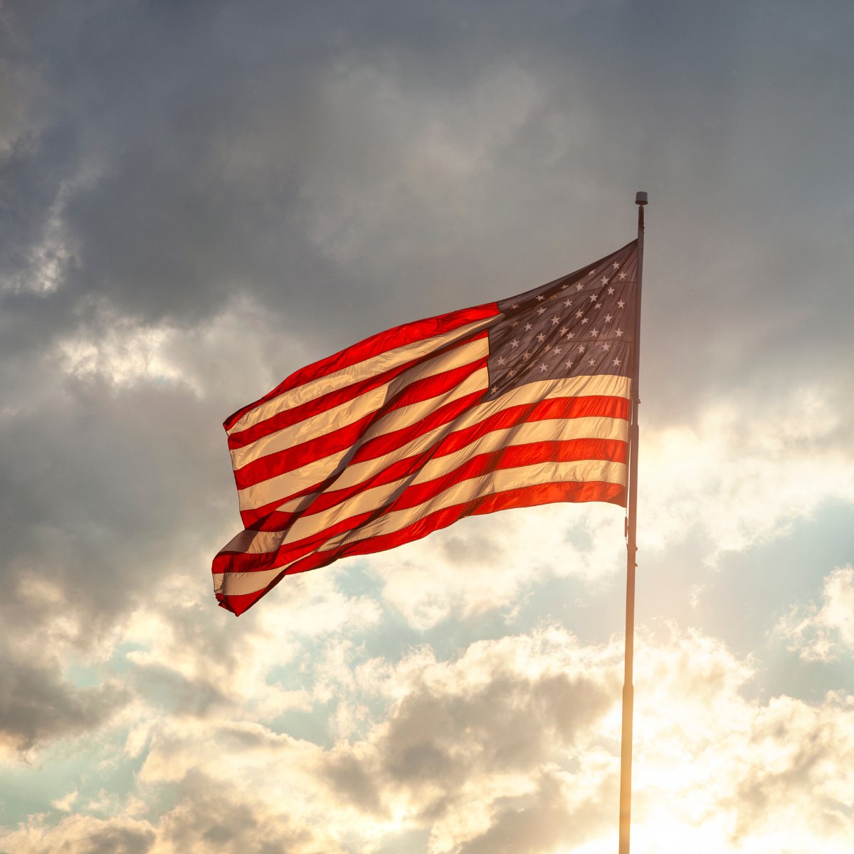 On Veterans Day, we honor all who served in the Armed Forces and the families who stood beside them. Service requires courage, discipline, and a steady commitment. Today, we recognize those who carried that weight with humility. 

#VeteransDay