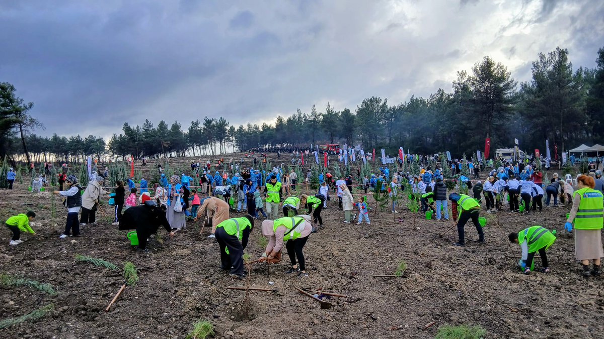 Prof_Dr_BToprak's tweet photo. 🌲Toprağa umut, geleceğe nefes bıraktık.

🗓️11 Kasım Milli Ağaçlandırma Günü  

#YeşilYarınlarİçin #11Kasım #yeşilvatan https://t.co/xbl7uWFy8x