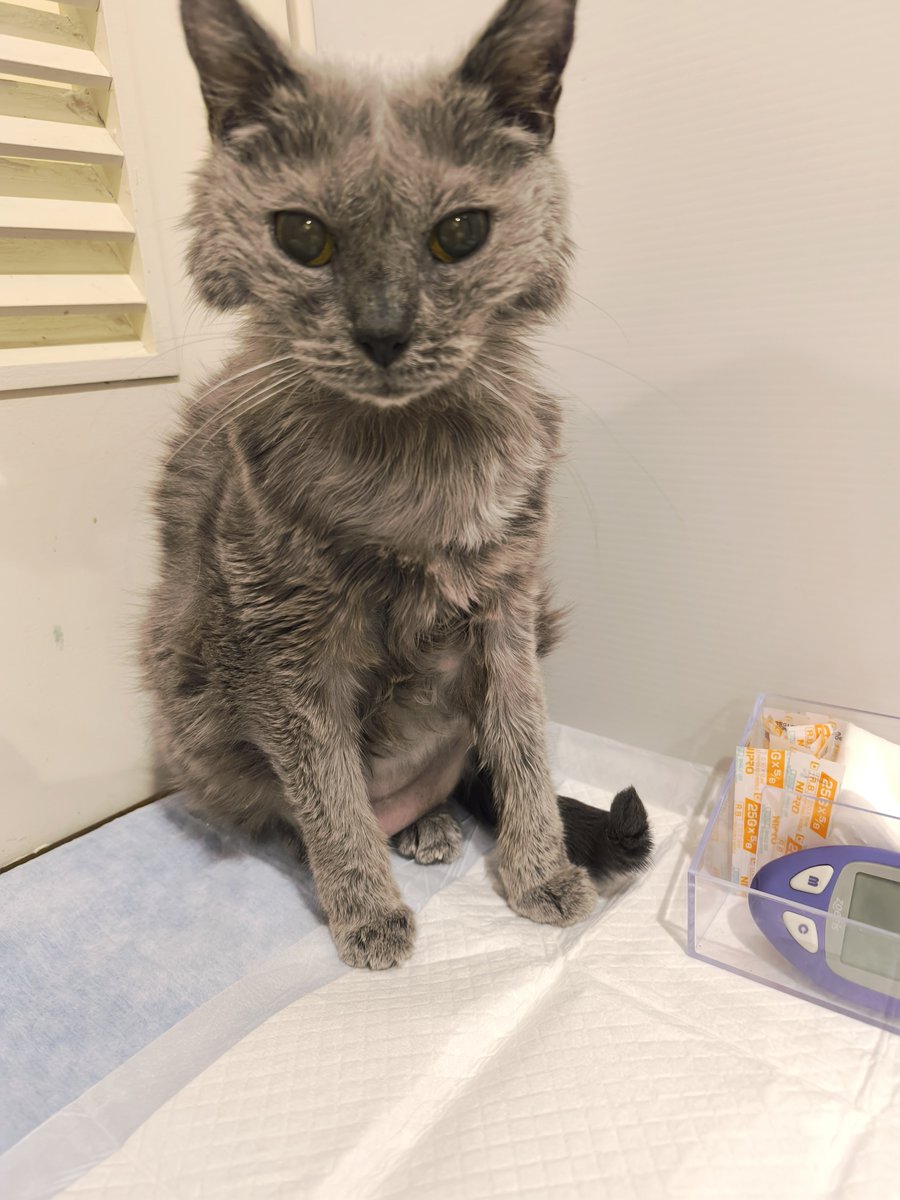 みのんぱ　様　確認ページ❗ みのん (@minon82minon) / Posts / X