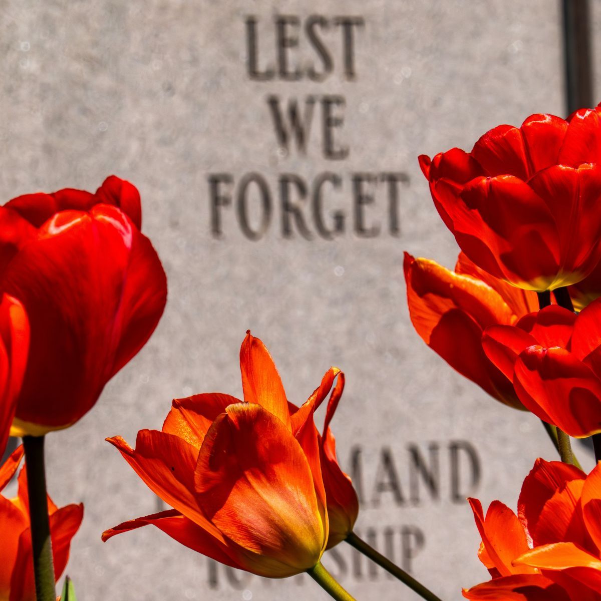 Today, we pause to remember the brave Canadians who served and sacrificed for the freedoms we enjoy.

Their courage, dedication, and selflessness continue to inspire us to uphold the values of peace, respect, and community service that define our nation.

As we observe this day