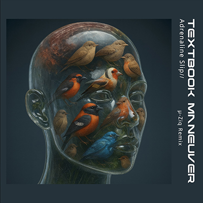 LonelyOakRadio's tweet photo. We play '' by Textbook Maneuver @lifesciencerecs at 11:53 AM and 11:53 PM (PST) Tue, Nov 11 at #NewMusic show. Listen #NewMusic show Live 8:00 (PST) everyday https://t.co/FMq7VPERlx https://t.co/52sDAy9zsZ