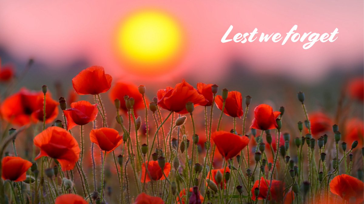 Today we remember. #RemembranceDay2025 #lestweforget