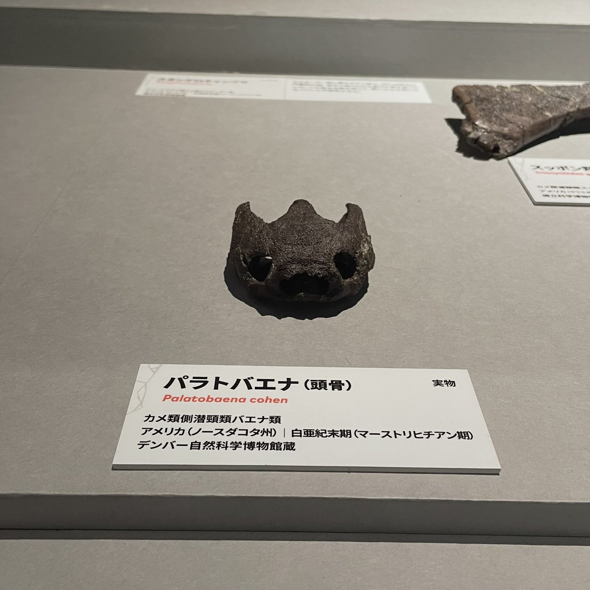 フランスで買った絵 dipint_4632879