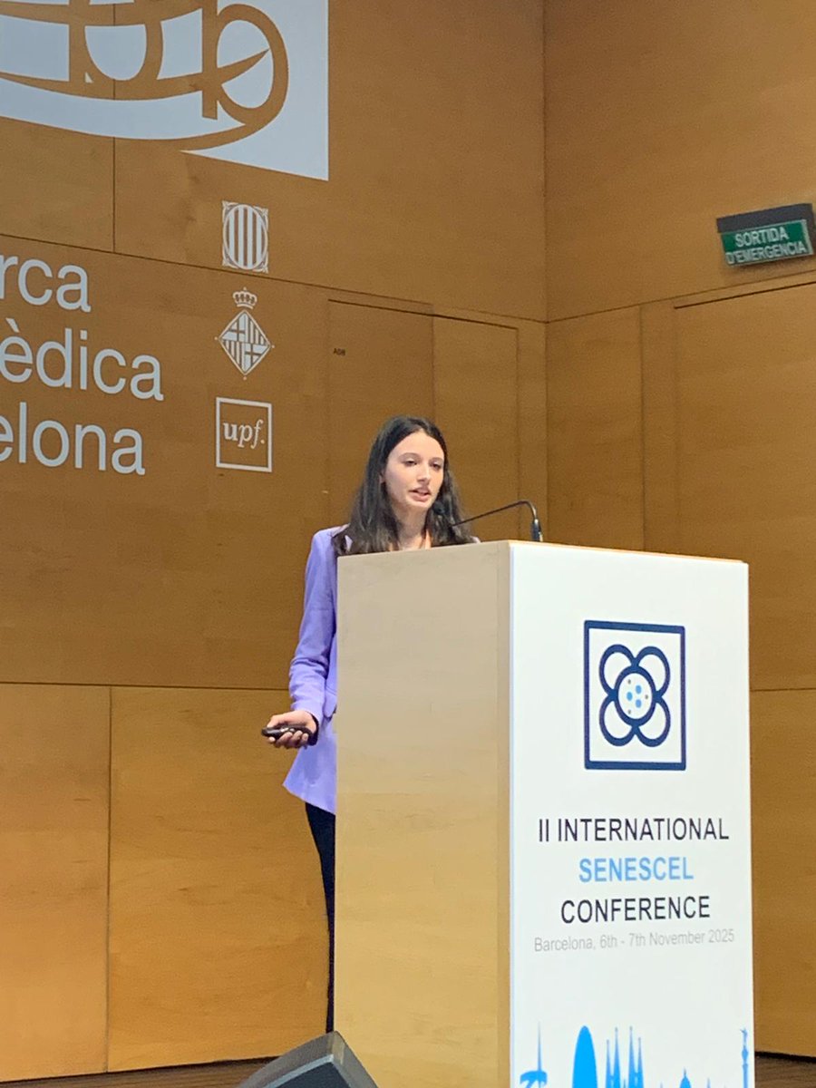 The Maus Lab tweet media