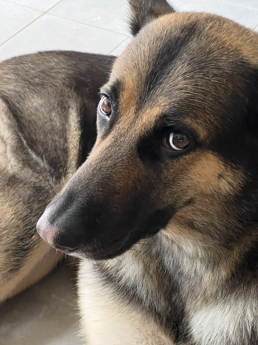 CarolineSwitched tweet media