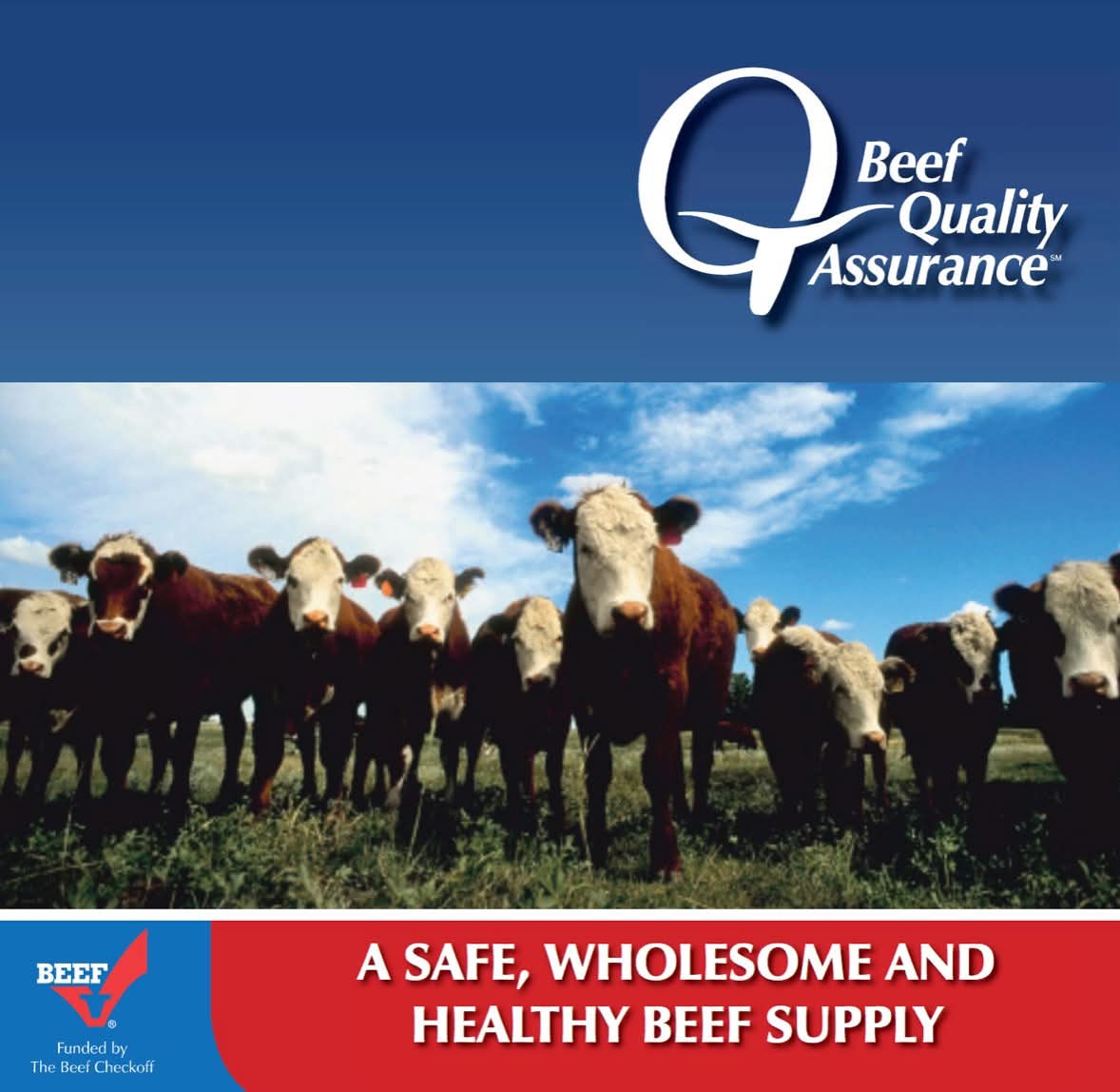SMEVCO's tweet photo. We're thrilled to share that Naturally Amish has achieved Beef Quality Assurance BQA Certification. This includes training on optimal management practices for cattle care, herd health, handling, &amp; transportation, all aimed at ensuring the safety, quality, &amp; wholesomeness of beef. https://t.co/OvNcSSMzun