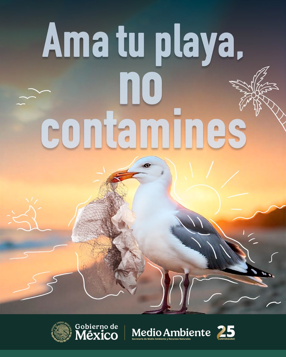 agencia_asea's tweet photo. 🐢Mantener las playas limpias significa bienestar para la vida marina y la salud de las personas.

🦀🌊 ¡Súmate a la Estrategia Nacional de Limpieza de Playas y Costas, liderada por @SEMARNAT_mx!

¡Cuidarlas es tarea de todos y todas!💙🐚

#AmaTuPlaya #NoContamines #SomosMedioAmbiente