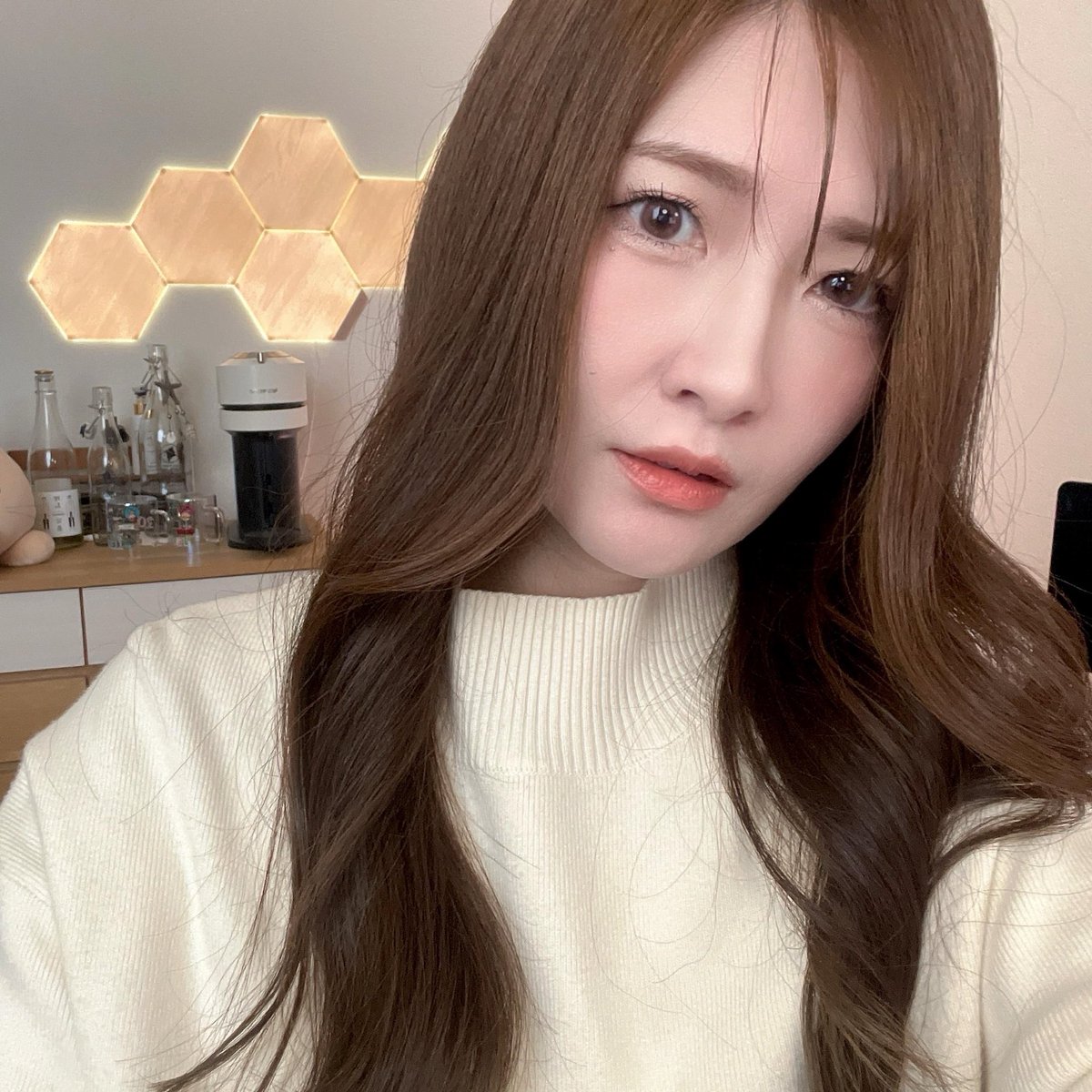 どんちゃん (@_donchi) / Posts / X