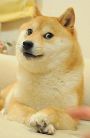 xerox_1st's tweet image. ❗ No real cap on supply

Would you use a meme coin to buy a burger or hold it till it hits the moon? 🌕

#CryptoForEveryone #Web3MadeEasy #DOGE

Reply with what you’d buy with 1,000 DOGE 👇