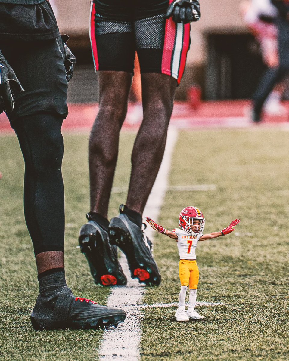 Pitt State Football tweet media