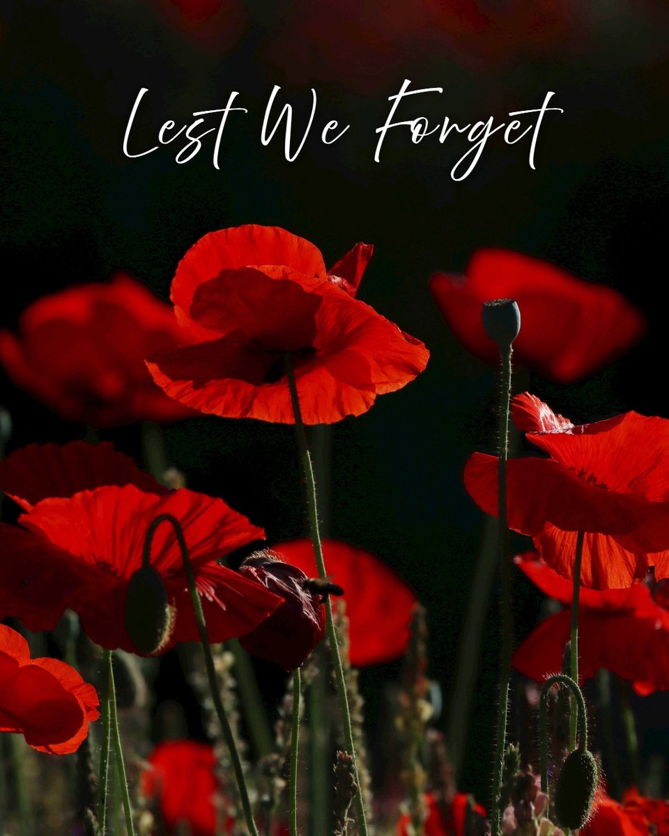 ConsumerChoiceAward tweet media