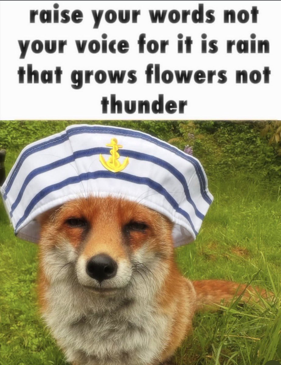A wise fox once said