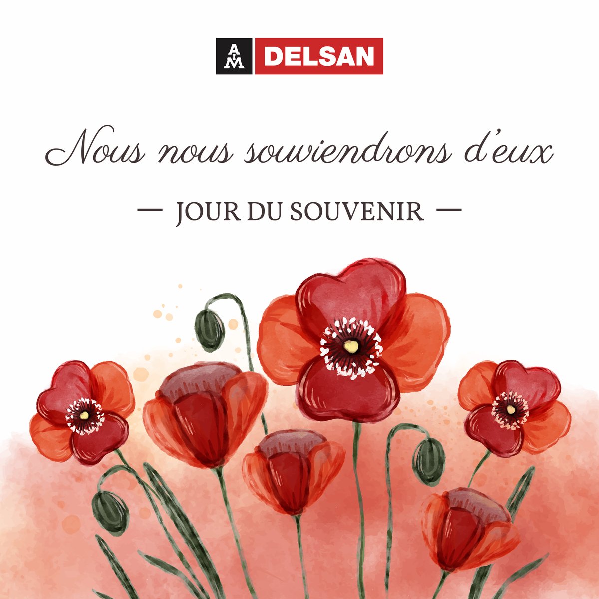Delsan-AIM tweet media
