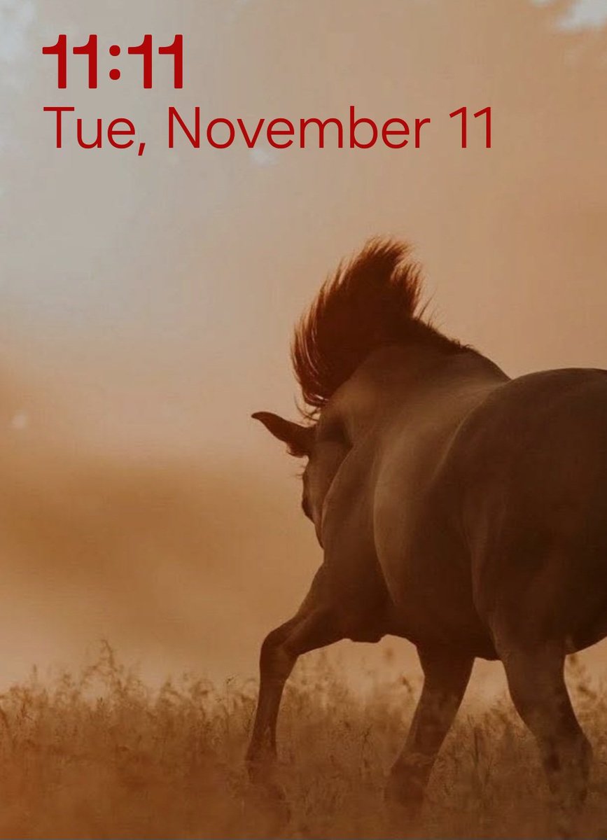 Beth K ( REISHIOK BUIOLASH) (@bethmkight) on Twitter photo 